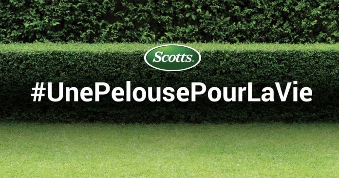 Concours Rona Une Pelouse Pour La Vie De Scotts