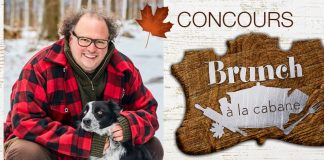 Concours Télé-Quebec Un Chef À La Cabane 2020