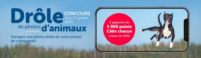 Concours Mondou Drôle de Photos d'Animaux 2021