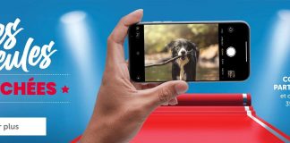 Concours Mondou Photos Belles Gueules 2022