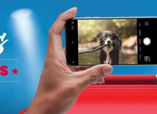 Concours Mondou Photos Belles Gueules 2022