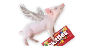 Concours SKITTLES Absence du Bureau 2024