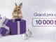 Concours Calendrier Magique Telus Privileges 2024
