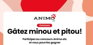 Concours SB Privilege Gâtez Minou Et Pitou 2025 (SBPrivileges.ca)
