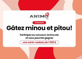 Concours SB Privilege Gâtez Minou Et Pitou 2025 (SBPrivileges.ca)