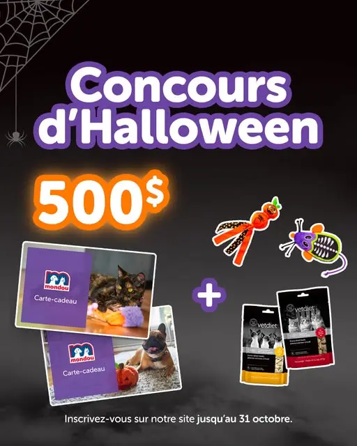 Concours d'Halloween Mondou 2025