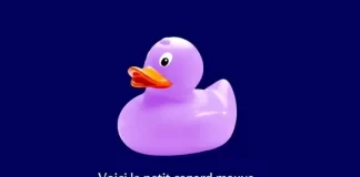 Concours Trouvez Le Canard Centris 2025