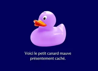 Concours Trouvez Le Canard Centris 2025