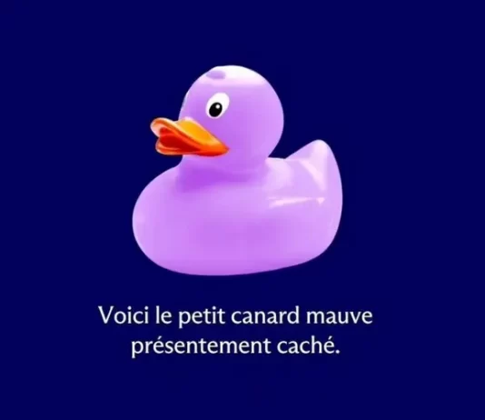 Concours Trouvez Le Canard Centris 2025