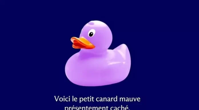Concours Trouvez Le Canard Centris 2025